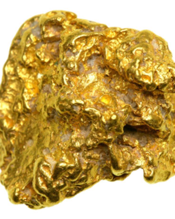 Our Services gold nugget nupT1 1